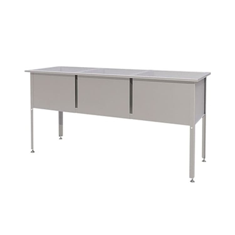 Ванна моечная Атеси ВМ-3/600 с бортом Алента